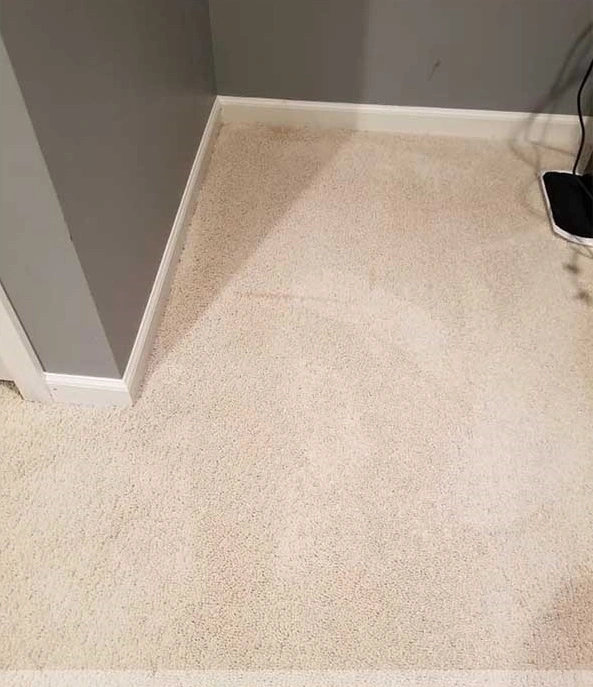 carpet cleaning