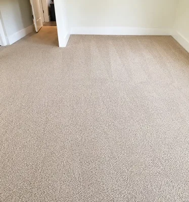 after carpet cleaning