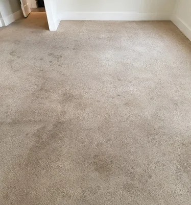 before carpet cleaning