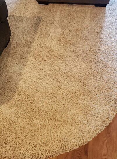 Rug Cleaning After