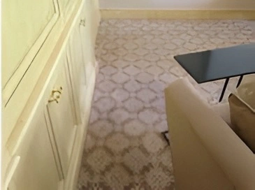 ped odor removal after