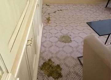 ped odor removal before